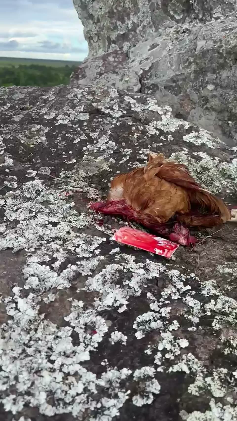 MOUNTAIN RITUALS
